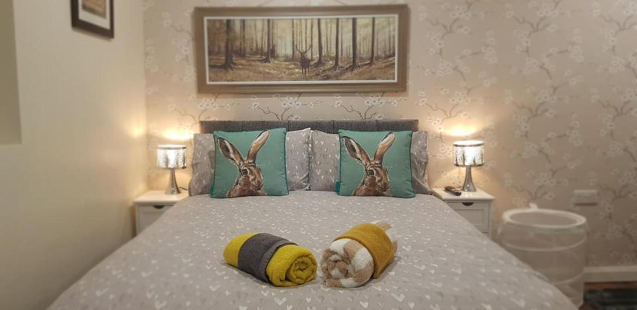 The Musical Ceol Cottage 1-Bedroom - Sleeps Four Ballynahinch Eksteriør bilde