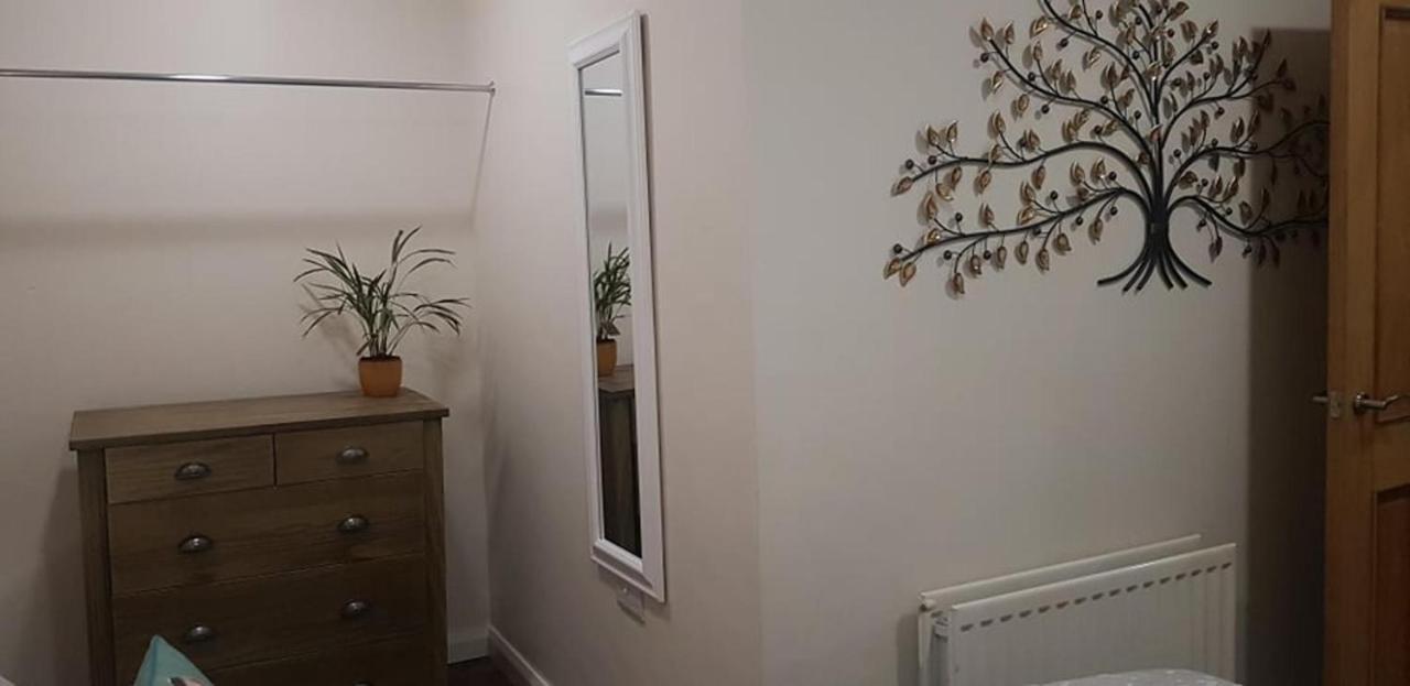 The Musical Ceol Cottage 1-Bedroom - Sleeps Four Ballynahinch Eksteriør bilde